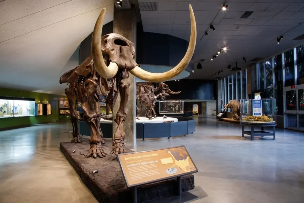 Considering spending your #LaborDay weekend with us We're open Monday, September 2! Browse featured experiences and save your spot before visiting—link in bio. מפת המלצות ללוס אנג'לס