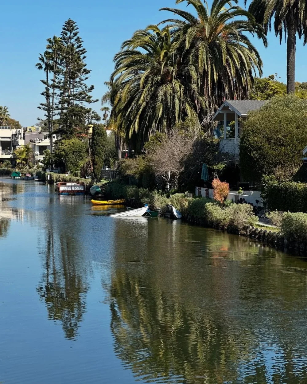 Love these beautiful reflections in the Venice Canals #VeniceCanals #VeniceBeach #HiddenGem #CaliforniaDreaming מפת המלצות ללוס אנג'לס
