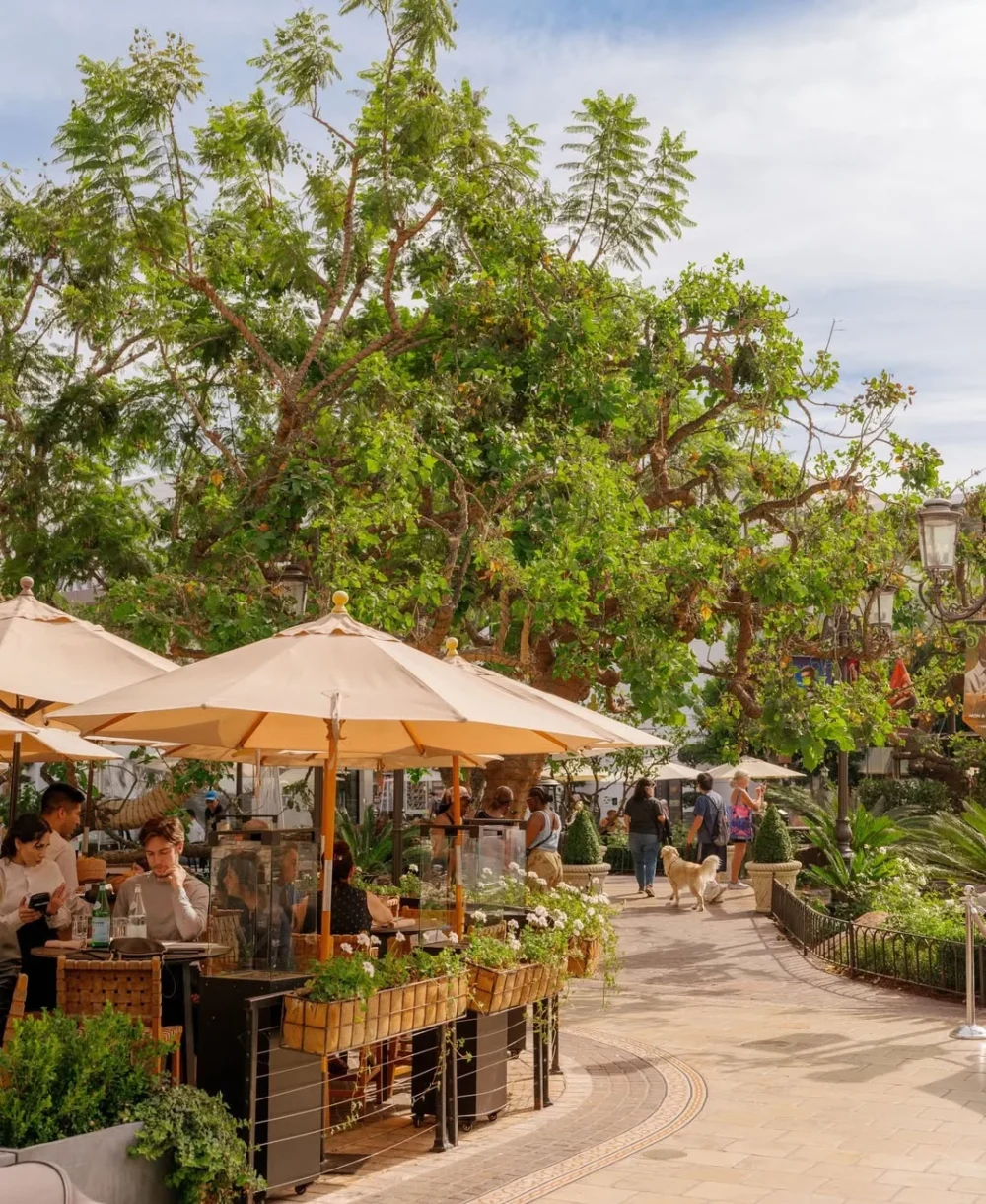 Saved you a seat with the best view in town @almacocinamexico #TheGroveLA מפת המלצות ללוס אנג'לס