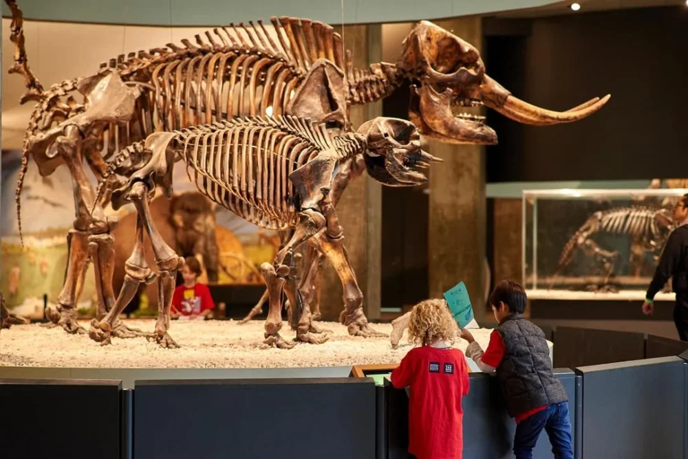 The museum at La Brea Tar Pits is closed today (January 29) due to a maintenance issue. We apologize for the inconvenience. מפת המלצות ללוס אנג'לס