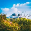 מפת המלצות ללוס אנג'לס