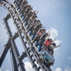 דיסני וורלד אורלנדו Walt Disney World orlando
