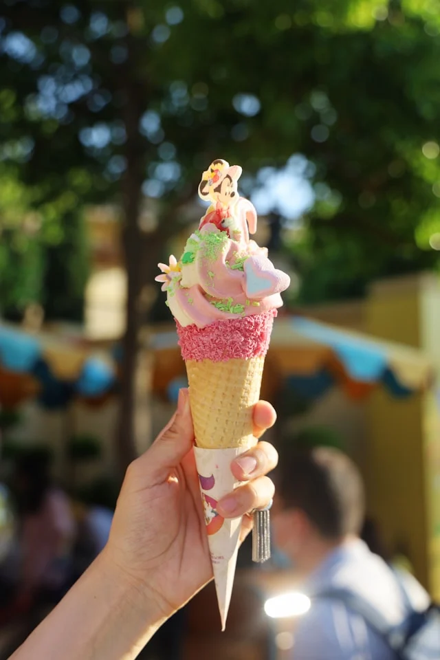 minnie-zhou-2lTusCJPBOw-unsplash דיסני וורלד אורלנדו Walt Disney World orlando