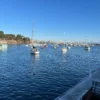 סיור קיאקים במונטריי Monterey Kayak Tour