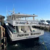 שייט לוויתנים ודולפינים במונטריי Princess Monterey Whale Watching Tour