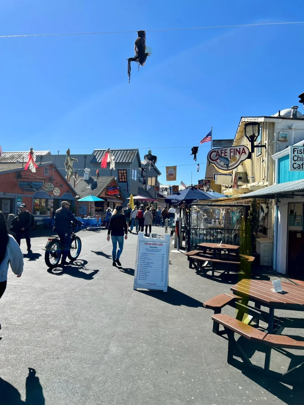 IMG-20250617-WA0021 סיור קיאקים במונטריי Monterey Kayak Tour