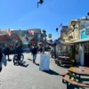 סיור קיאקים במונטריי Monterey Kayak Tour