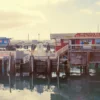 סיור קיאקים במונטריי Monterey Kayak Tour