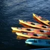 סיור קיאקים במונטריי Monterey Kayak Tour