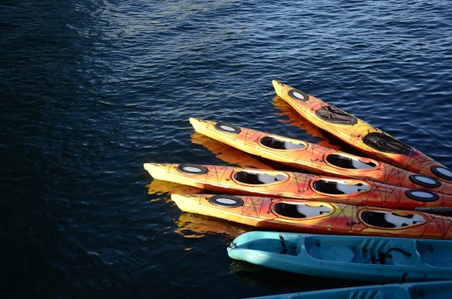קיאקים במונטריי סיור קיאקים במונטריי Monterey Kayak Tour